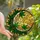 Celestial Art Admirers' Tiffany Stained Glass Crescent Moon & Star-Shaped Botanical Mosaic in Emerald Green Golden Amber Stained Glass Suncatcher - 1