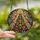 Christmas Lovers' Tiffany Style Stained Glass Butterfly Christmas Tree Intricate Mosaic Jewel Tones Stained Glass Suncatcher - 0LZbU3JyKO