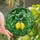 Women's Detailed Tiffany Style Stained Glass Lemon Botanical Swirl Pattern Yellow Emerald Green Stained Glass Suncatcher - 1