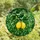 Women's Detailed Tiffany Style Stained Glass Lemon Botanical Swirl Pattern Yellow Emerald Green Stained Glass Suncatcher - 4