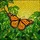 Nature Lovers' Vibrant Orange Monarch Butterfly Stained Glass Art Tiffany Style Jewel Tone Mosaic Edge-to-Edge Design Stained Glass Suncatcher - 6