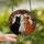 Cat Lovers' Vibrant Stained Glass Black Cat Orange Tabby Tiffany Floral Mosaic Stained Glass Suncatcher - 2