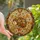 Hedgehog Lovers' Tiffany Style Stained Glass Autumnal Floral Mosaic Jewel Tone Pattern Stained Glass Suncatcher - 1