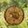 Hedgehog Lovers' Tiffany Style Stained Glass Autumnal Floral Mosaic Jewel Tone Pattern Stained Glass Suncatcher - 4