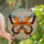 Butterfly Lovers' Intricate Tiffany Stained Glass Butterfly Mosaic Art, Light Blue Orange Brown Jewel Tones Stained Glass Suncatcher - 1