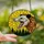 Wildlife Art Lovers' Fierce Opossum Stained Glass Mosaic, Yellow Sky & Deep Forest Green Trees Stained Glass Suncatcher - cxek8iXzB1