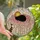 Cat Lovers' Intricate Tiffany Stained Glass Black & Calico Cats Pink Amber Heart Leaves Mosaic Stained Glass Suncatcher - 1