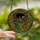 Cat Lovers' Tiffany Stained Glass Emerald Green Red Orange Amber Cats Vines Mosaic Art Stained Glass Suncatcher - 4ZW72PGL8X