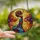 Women's Vibrant Tiffany Style Stained Glass African American Woman Afro Dance Mosaic Art Stained Glass Suncatcher - ApSfeS3Vcr