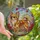 Chihuahua Lovers' Jewel Tone Stained Glass Long-Haired Chihuahua Floral Mosaic Pattern Stained Glass Suncatcher - 1