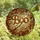 Spooky Season Lovers' Jewel Tone Stained Glass 'BOO' Witch Broom Autumnal Mosaic Stained Glass Suncatcher - 4