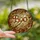 Spooky Season Lovers' Jewel Tone Stained Glass 'BOO' Witch Broom Autumnal Mosaic Stained Glass Suncatcher - 2
