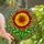 Art Lovers' Vibrant Stained Glass Tiffany Style Blooming Flower Botanical Mosaic Ruby Red Orange Green Stained Glass Suncatcher - 1