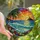 Tropical Art Lovers' Vibrant Stained Glass Beach Sunset Ocean Palm Tree Mosaic Jewel Tones Edge-to-Edge Stained Glass Suncatcher - 1