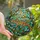 Reptile Enthusiasts' Vibrant Stained Glass Leopard Gecko Mosaic Yellow Orange Teal Dappled Light Stained Glass Suncatcher - 1