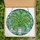 Art Lovers' Tiffany Stained Glass Maidenhair Fern Face Vase Botanical Mosaic Lime Emerald Sky Blue Aqua Stained Glass Suncatcher - 5
