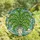 Art Lovers' Tiffany Stained Glass Maidenhair Fern Face Vase Botanical Mosaic Lime Emerald Sky Blue Aqua Stained Glass Suncatcher - 4