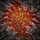 Art Lovers' Intricate Tiffany Stained Glass Glowing Botanical Berry Mosaic Amber Ruby Red Stained Glass Suncatcher - 6