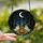 Whimsical Art Lovers' Intricate Stained Glass Ghost Campfire Forest Art Teal Emerald Orange Hues Stained Glass Suncatcher - 2