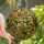 Nature Lovers' Tiffany Style Stained Glass Hummingbird Emerald Ruby Amber Fall Leaves Vine Mosaic Stained Glass Suncatcher - JOVGbl2WFa