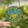 Vibrant Art Admirers' Stained Glass Heart Mosaic Intricate Blue Golden Yellow Stained Glass Suncatcher - kLOxGBD5_q