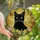 Cat Lovers' Intricate Tiffany Stained Glass Black Cat Yellow Eyes Floral Mosaic Golden Yellow Pink Emerald Green Stained Glass Suncatcher - 1