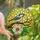 Nature Lovers' Glowing Stained Glass Blue Bird White Flower Golden Yellow Lime Green Mosaic Stained Glass Suncatcher - 1