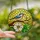 Nature Lovers' Glowing Stained Glass Blue Bird White Flower Golden Yellow Lime Green Mosaic Stained Glass Suncatcher - 2
