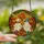 Festive Fall Fans' Whimsical Stained Glass Ghosts, Vibrant Jewel Tone Autumn Forest Art Stained Glass Suncatcher - 2