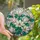 Art Lovers' Pearlescent Stained Glass Magnolia Floral Design with Teal Lavender Emerald Jewel Tones Stained Glass Suncatcher - 1