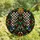 Holiday Enthusiasts' Intricate Stained Glass Christmas Tree Mosaic, Tiffany Style Jewel Tones Stained Glass Suncatcher - mKNe6BVH0K