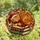 Cat Lovers' Tiffany Style Stained Glass Orange Tabby Books Festive Jewel Tone Design Stained Glass Suncatcher - 4