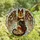 Dog Lovers' Majestic German Shepherd Feathered Wings Gold Tan Brown Tiffany Glass Art Mosaic Stained Glass Suncatcher - 0rgDVzP2v-