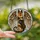 Dog Lovers' Majestic German Shepherd Feathered Wings Gold Tan Brown Tiffany Glass Art Mosaic Stained Glass Suncatcher - WHU8Snf0xw