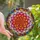 Art Lovers' Vibrant Stained Glass Lotus Bloom Jewel Tone Floral Mosaic Stained Glass Suncatcher - 1