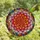 Art Lovers' Vibrant Stained Glass Lotus Bloom Jewel Tone Floral Mosaic Stained Glass Suncatcher - 4