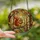 Nature Lovers' Vibrant Jewel-Tone Tiffany Stained Glass Squirrel Acorn Autumnal Woodland Mosaic Pattern Stained Glass Suncatcher - 2
