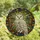 Nature & Art Lovers' Stained Glass Snowy Owl Art, Golden Autumn Leaves & Teal Geometric Mosaic Stained Glass Suncatcher - hMhryJYmSl