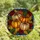 Autumn Enthusiasts' Vibrant Tiffany Style Stained Glass Pumpkins Maple Oak Leaves Mosaic Stained Glass Suncatcher - 4
