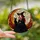 Fantasy Art Lovers' Tiffany Style Stained Glass Mystical Witch Black Cat Crescent Moon Mosaic in Jewel Tones Stained Glass Suncatcher - RZ_afzLKAk