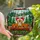 Winter Art Lovers' Glowing Tiffany Stained Glass Reindeer Nuzzle Forest Mosaic Amber Red Green Stained Glass Suncatcher - tWagFV76-e