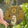 Art Lovers' Intricate Stained Glass Ghost Gothic Rose Window Floral Jewel Tones Stained Glass Suncatcher - 1