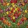 Art Lovers' Tiffany Style Stained Glass Heart Tulip Vibrant Jewel Tone Floral Tapestry Stained Glass Suncatcher - 6