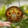 Gnome Lovers' Jewel Tone Stained Glass Gnome & Golden Sunflower Autumnal Mosaic Stained Glass Suncatcher - cj-LYYpZ23