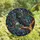 Art & Nature Lovers' Tiffany Stained Glass Raven Spider Celestial Mosaic Jewel Tones Stained Glass Suncatcher - Xt1jNxzcAg
