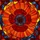 Art Lovers' Detailed Tiffany Stained Glass Poppy Bloom Red Orange Blue Mosaic Design Stained Glass Suncatcher - 6