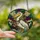 Mardi Gras Celebrants' Tiffany Style Pelican Jester Hat Purple Green Gold Stained Glass Mosaic Stained Glass Suncatcher - 2