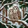 Nature Lovers' Snuggled Barred Owls Stained Glass Mosaic Winter Forest Art, Earthy Jewel Tones Stained Glass Suncatcher - 6