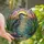 Nature Lovers' Intricate Tiffany Stained Glass Night Heron Wetland Sunset Mosaic Stained Glass Suncatcher - QX6YhR0e3W