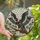 Nature & Art Lovers' Highly Detailed Condor Vulture Stained Glass Cherry Blossom Design Stained Glass Suncatcher - 1